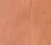 Maple - Praline